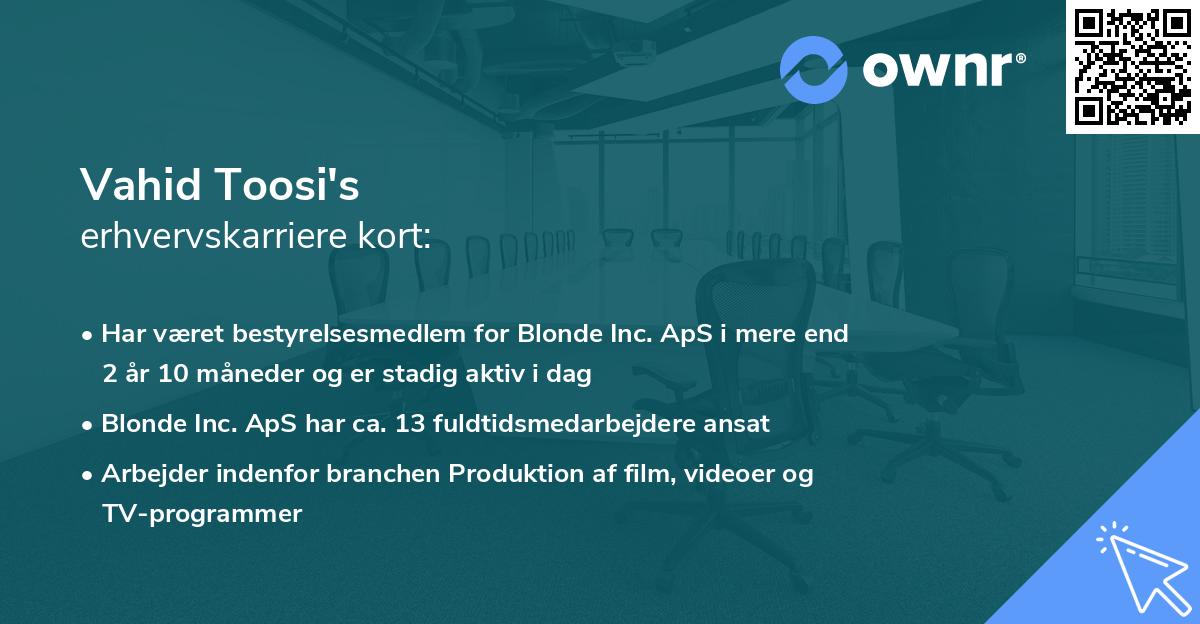 Vahid Toosi's erhvervskarriere kort