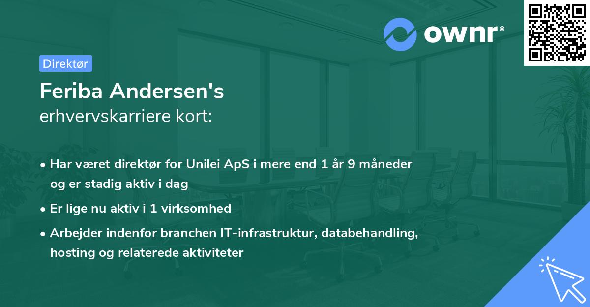 Feriba Andersen's erhvervskarriere kort