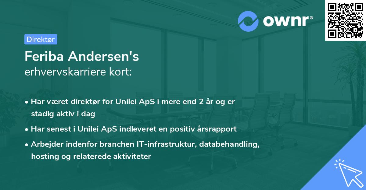 Feriba Andersen's erhvervskarriere kort