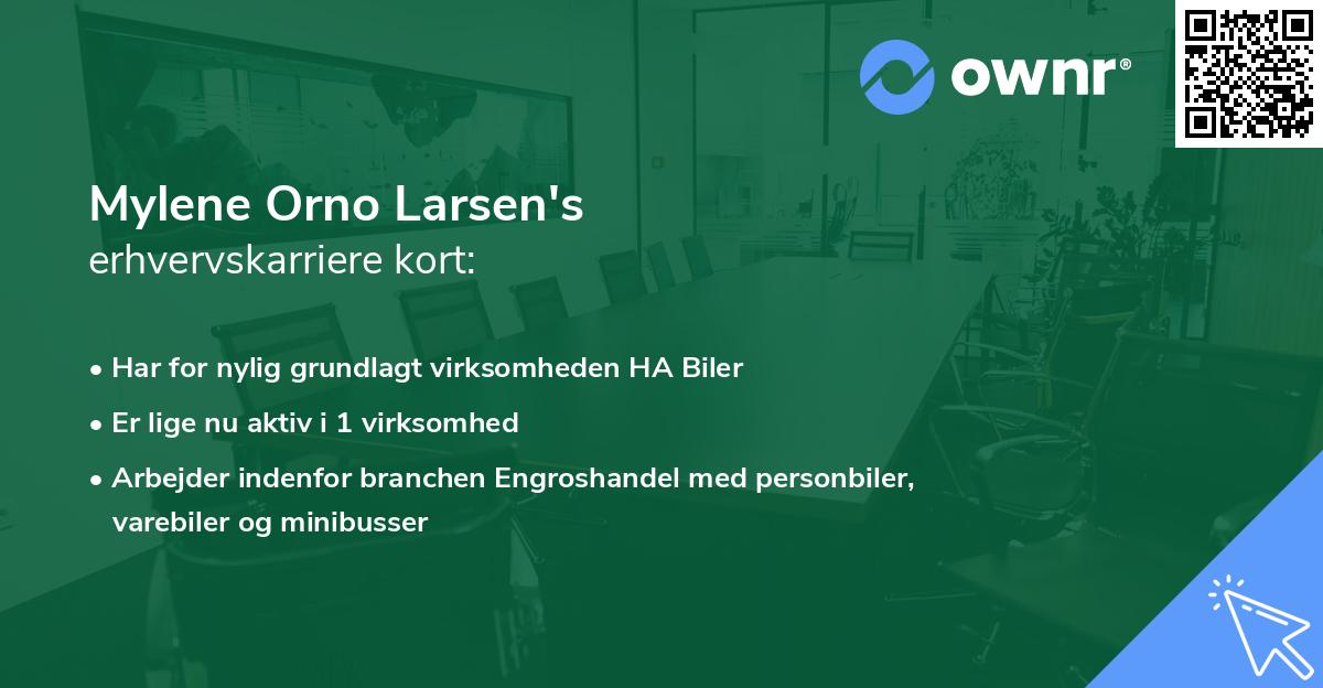 Mylene Orno Larsen's erhvervskarriere kort