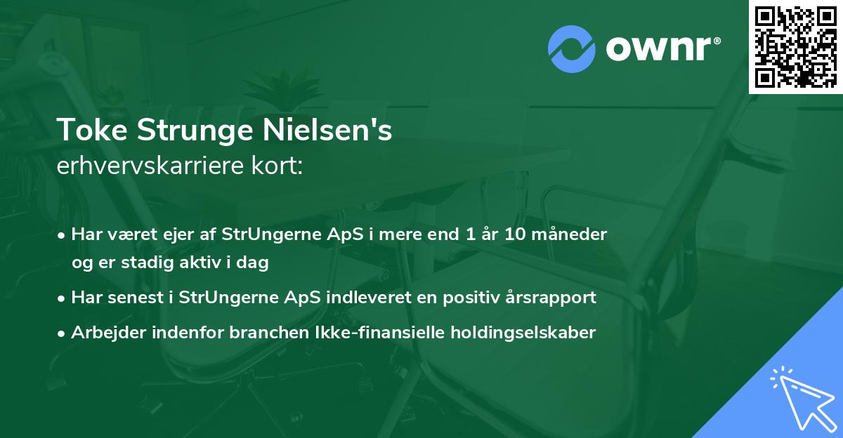 Toke Strunge Nielsen's erhvervskarriere kort