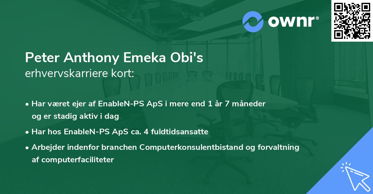 Peter Anthony Emeka Obi's erhvervskarriere kort