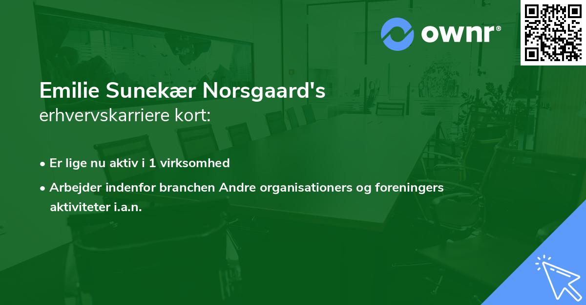 Emilie Sunekær Norsgaard's erhvervskarriere kort