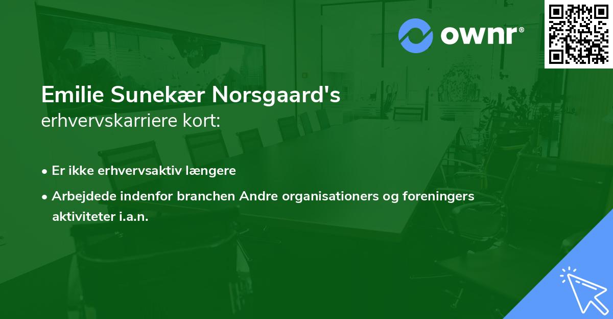 Emilie Sunekær Norsgaard's erhvervskarriere kort