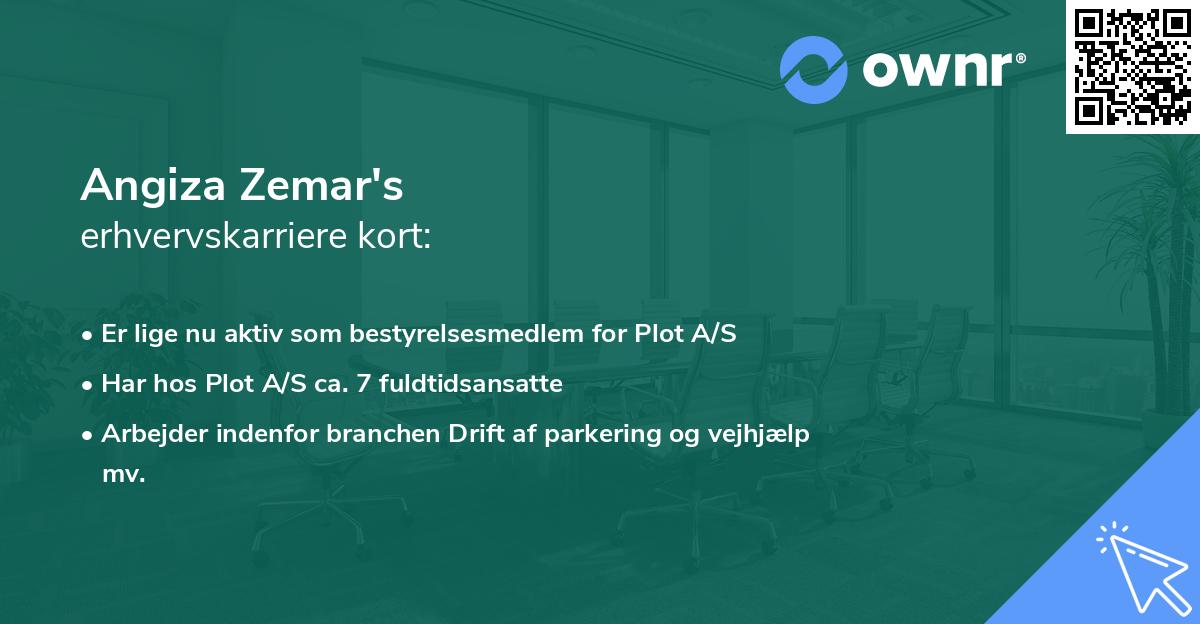 Angiza Zemar's erhvervskarriere kort