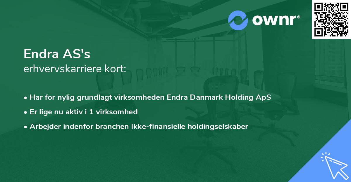 Endra AS's erhvervskarriere kort