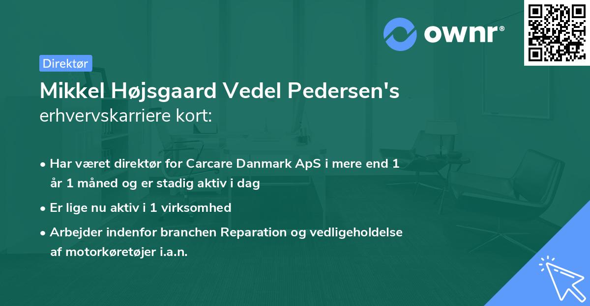 Mikkel Højsgaard Vedel Pedersen's erhvervskarriere kort