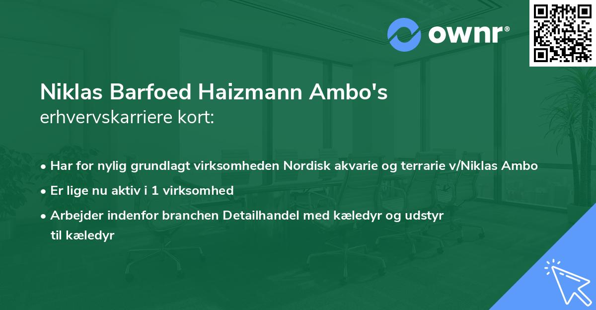 Niklas Barfoed Haizmann Ambo's erhvervskarriere kort