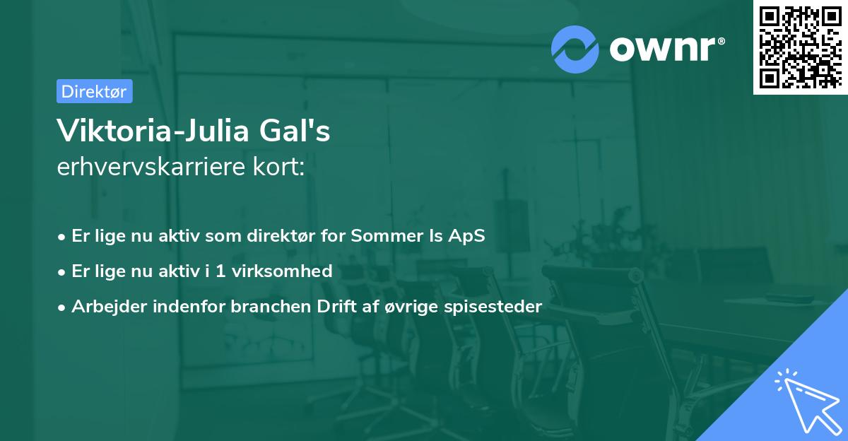 Viktoria-Julia Gal's erhvervskarriere kort