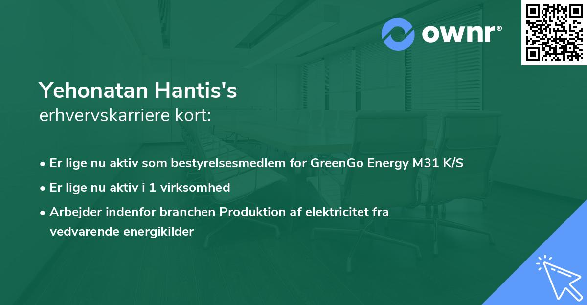 Yehonatan Hantis's erhvervskarriere kort