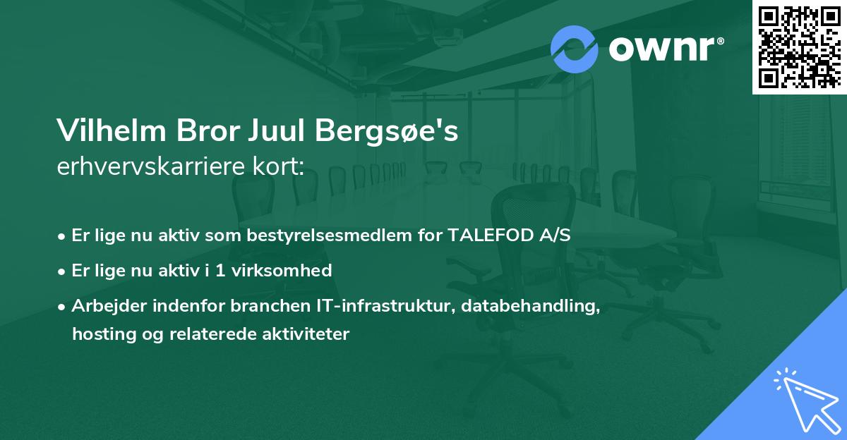 Vilhelm Bror Juul Bergsøe's erhvervskarriere kort