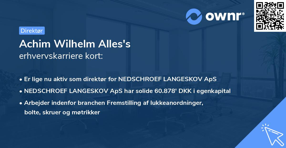 Achim Wilhelm Alles's erhvervskarriere kort