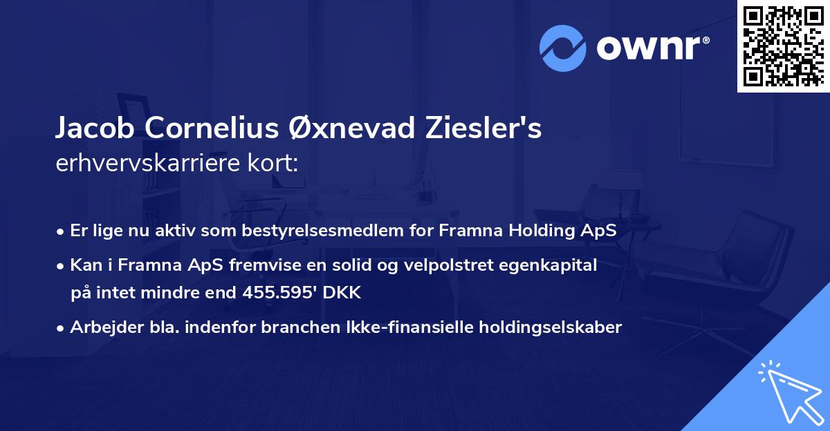 Jacob Cornelius Øxnevad Ziesler's erhvervskarriere kort