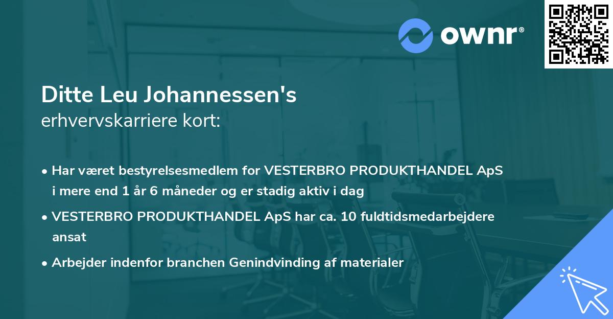 Ditte Leu Johannessen's erhvervskarriere kort