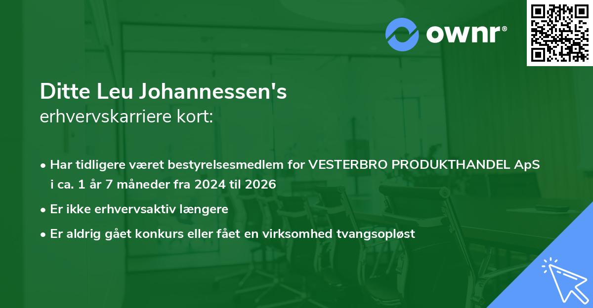 Ditte Leu Johannessen's erhvervskarriere kort