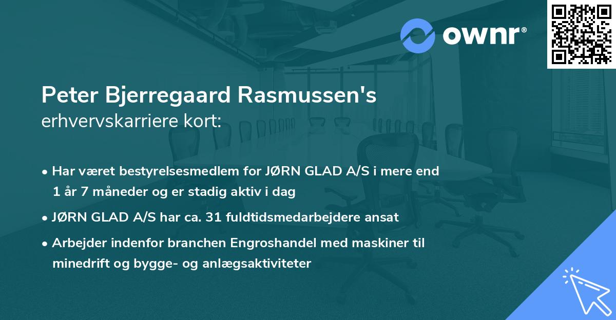 Peter Bjerregaard Rasmussen's erhvervskarriere kort