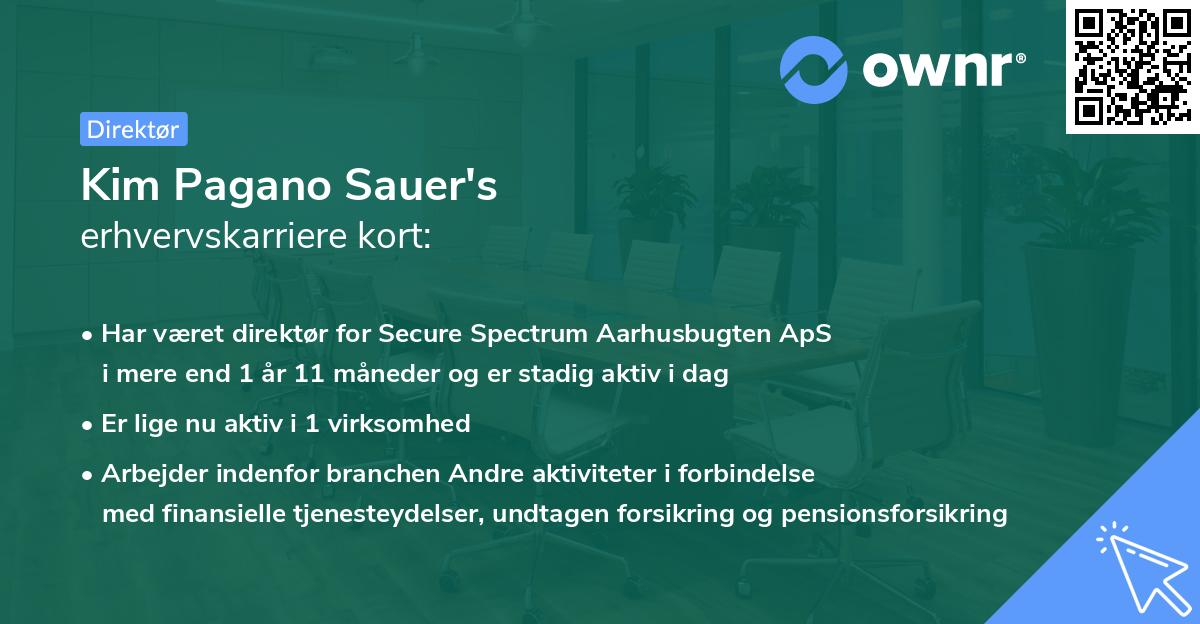 Kim Pagano Sauer's erhvervskarriere kort