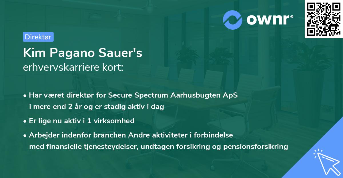 Kim Pagano Sauer's erhvervskarriere kort
