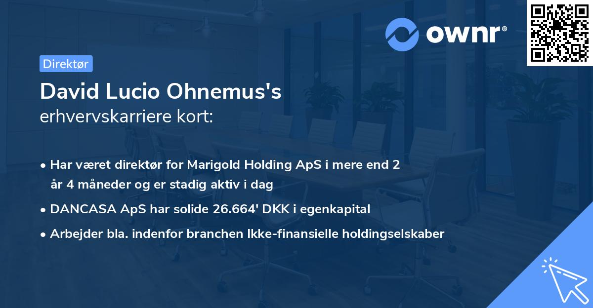 David Lucio Ohnemus's erhvervskarriere kort