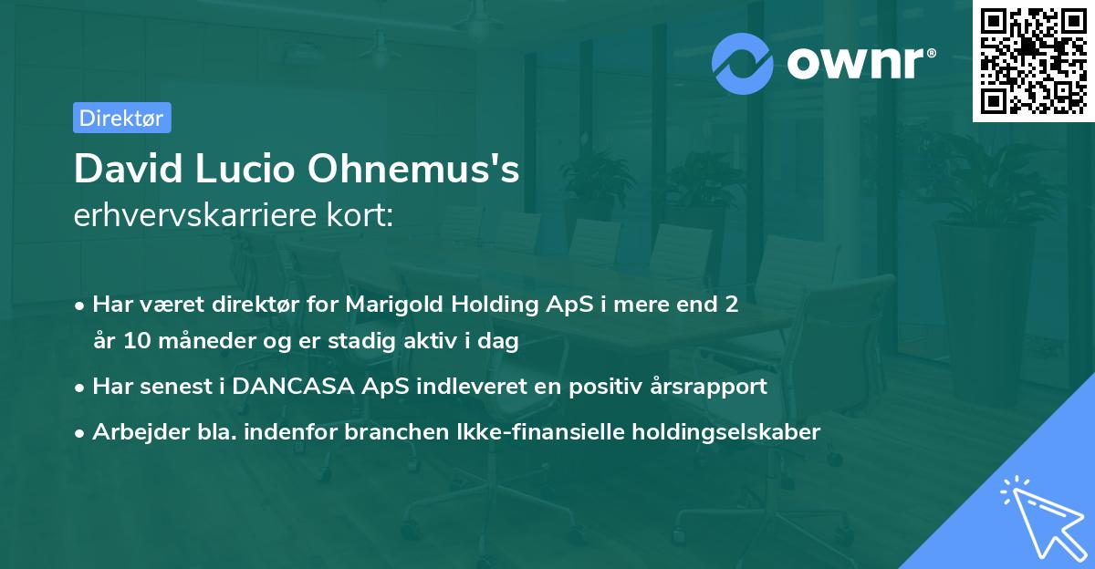 David Lucio Ohnemus's erhvervskarriere kort