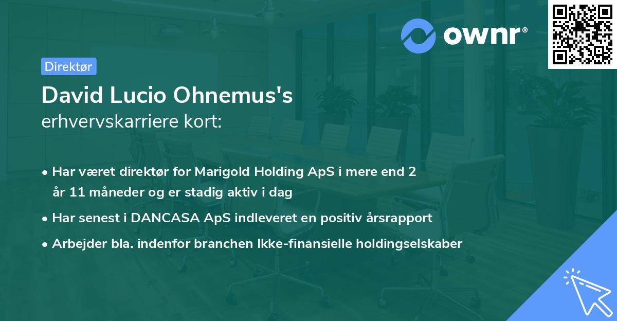 David Lucio Ohnemus's erhvervskarriere kort