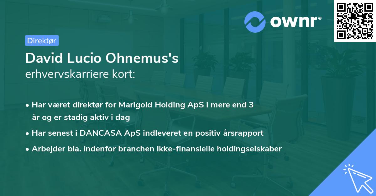 David Lucio Ohnemus's erhvervskarriere kort