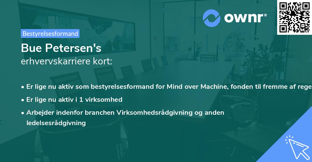 Bue Petersen's erhvervskarriere kort