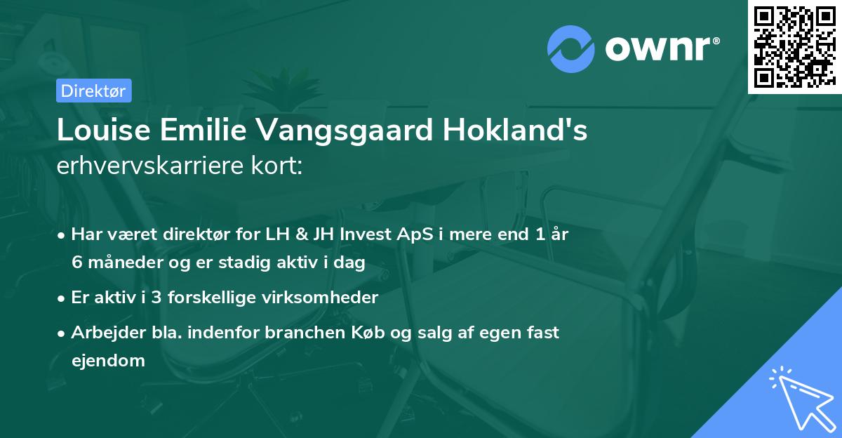 Louise Emilie Vangsgaard Hokland's erhvervskarriere kort