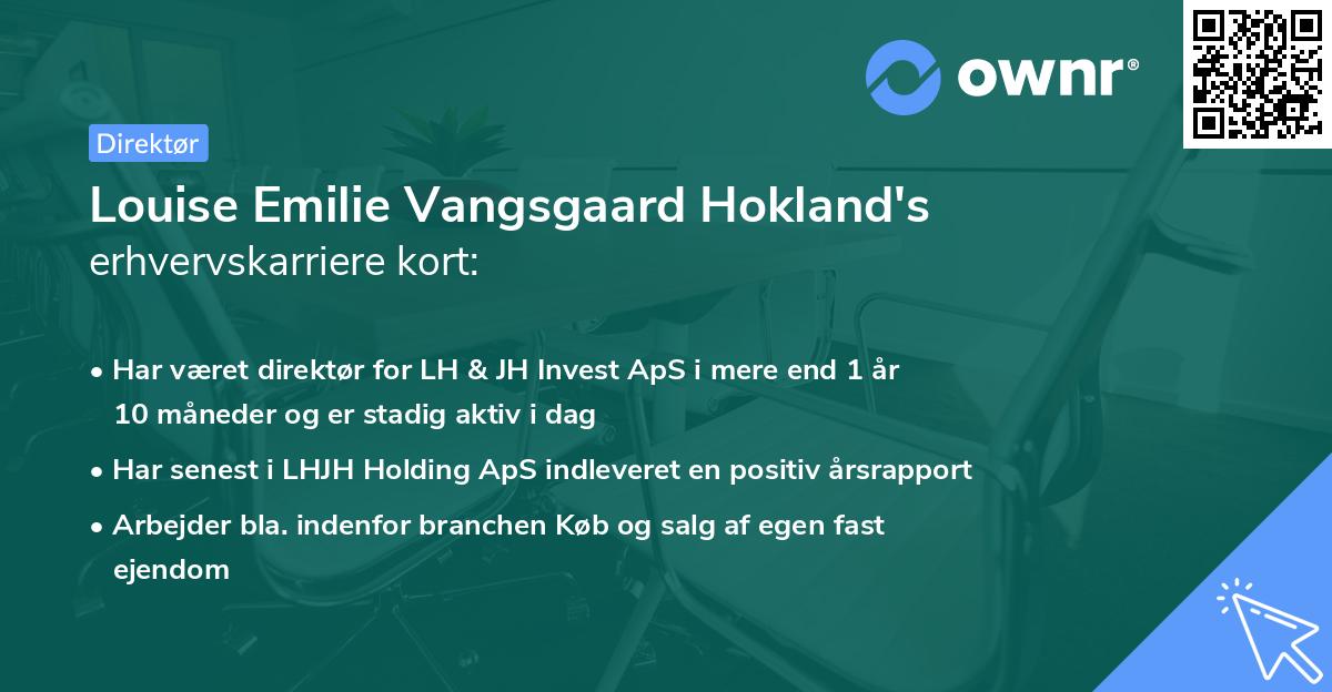 Louise Emilie Vangsgaard Hokland's erhvervskarriere kort