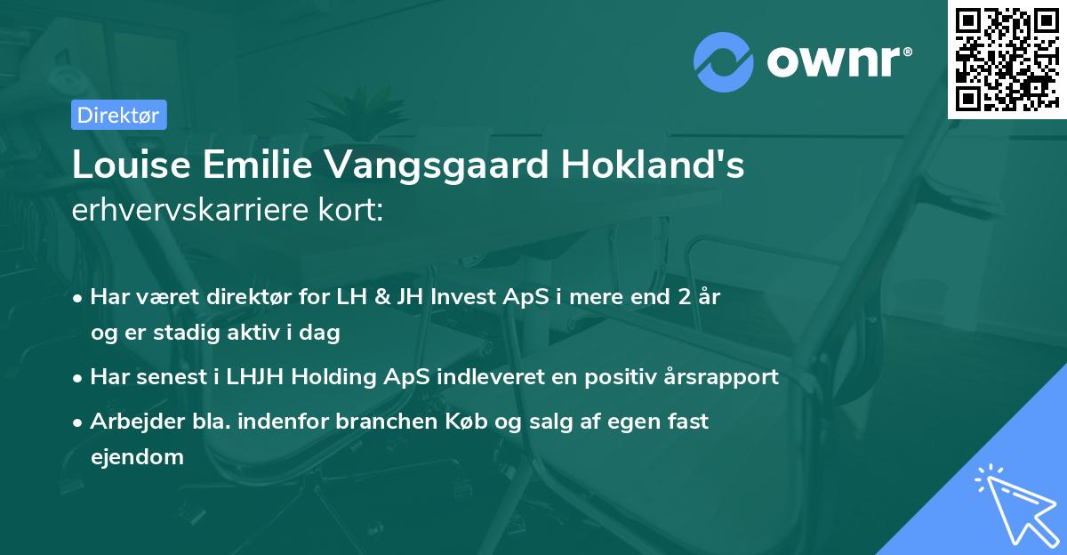 Louise Emilie Vangsgaard Hokland's erhvervskarriere kort