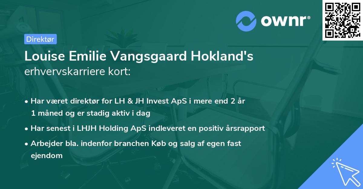 Louise Emilie Vangsgaard Hokland's erhvervskarriere kort