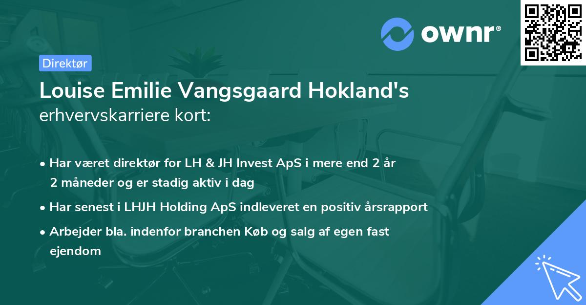 Louise Emilie Vangsgaard Hokland's erhvervskarriere kort
