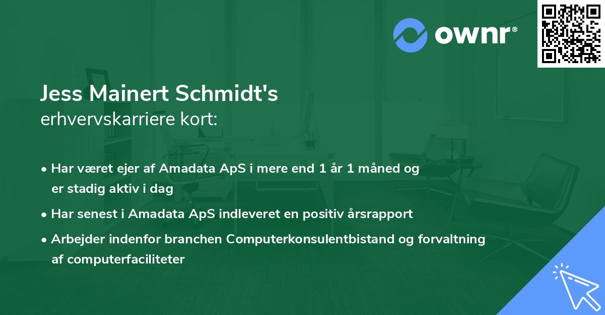 Jess Mainert Schmidt's erhvervskarriere kort