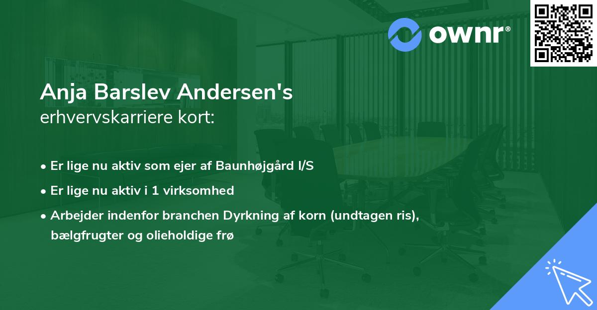 Anja Barslev Andersen's erhvervskarriere kort