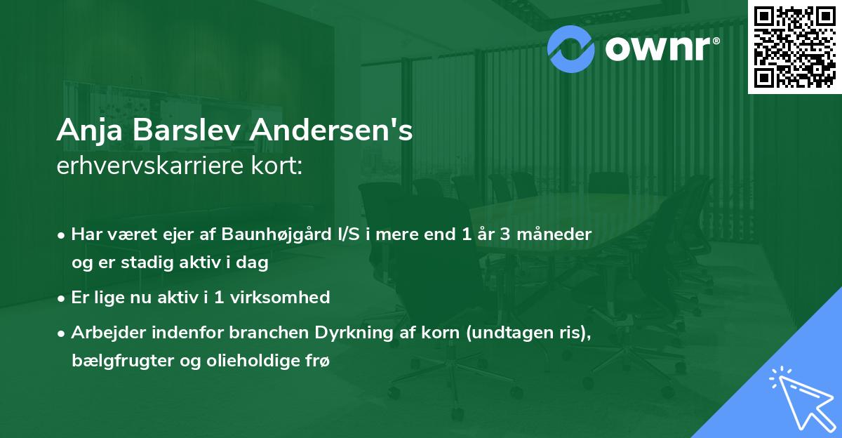 Anja Barslev Andersen's erhvervskarriere kort