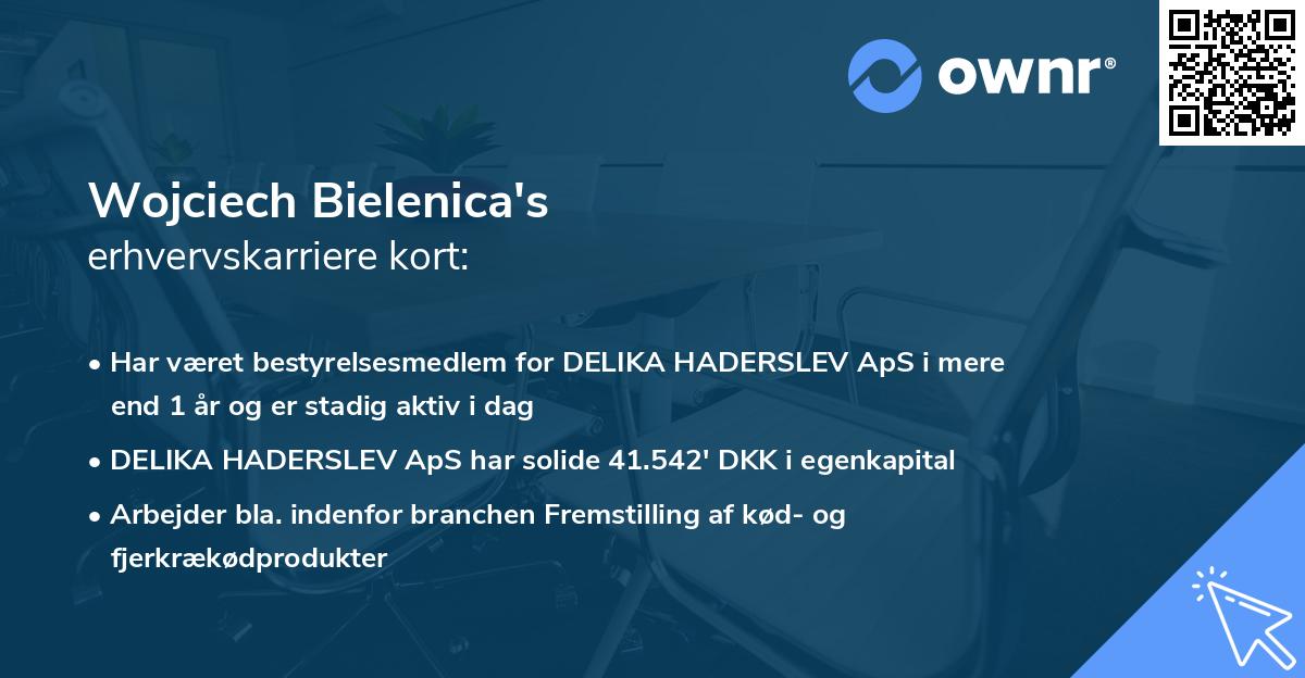 Wojciech Bielenica's erhvervskarriere kort