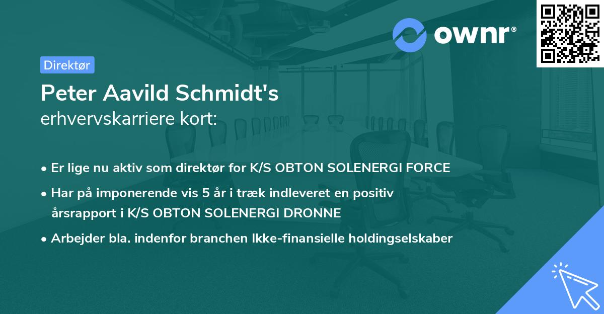 Peter Aavild Schmidt's erhvervskarriere kort