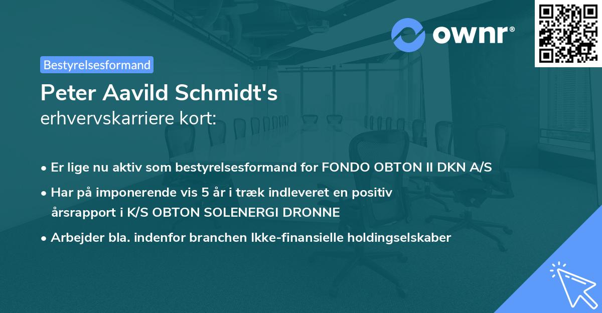 Peter Aavild Schmidt's erhvervskarriere kort