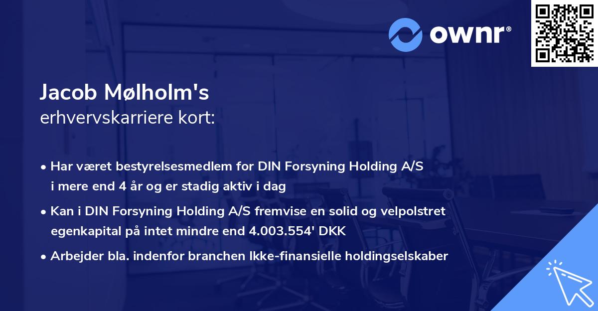 Jacob Mølholm's erhvervskarriere kort