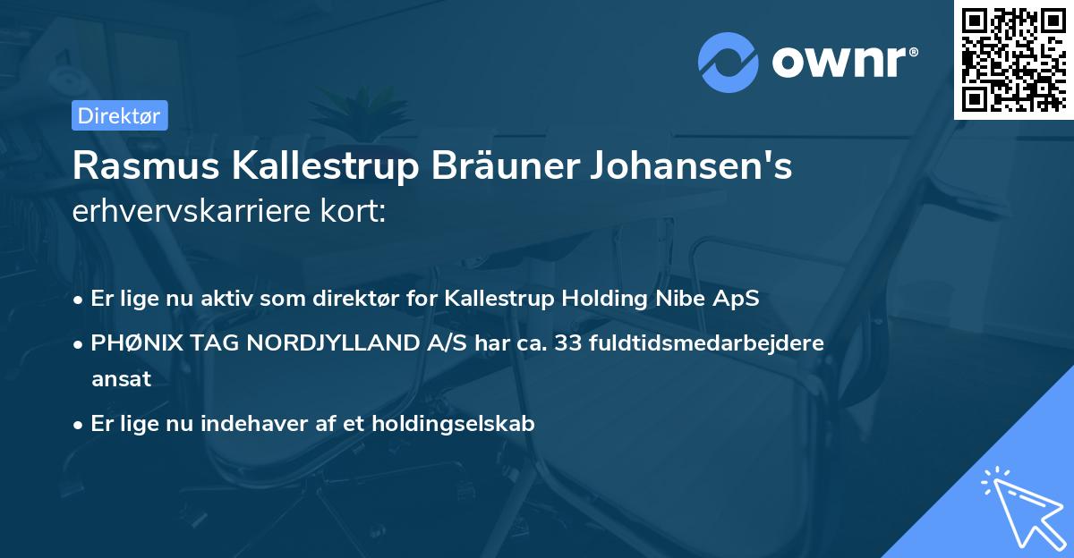 Rasmus Kallestrup Bräuner Johansen's erhvervskarriere kort
