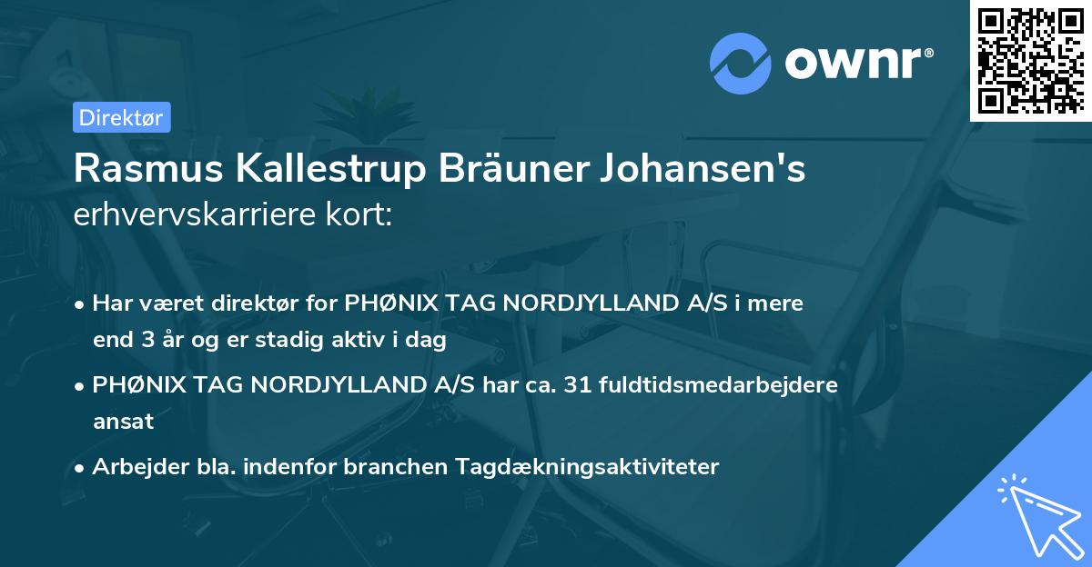 Rasmus Kallestrup Bräuner Johansen's erhvervskarriere kort
