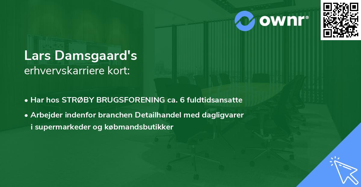 Lars Damsgaard's erhvervskarriere kort