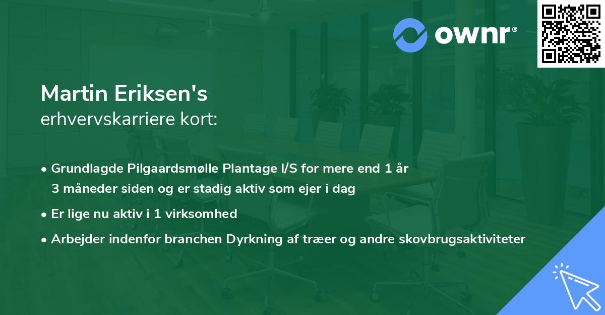 Martin Eriksen's erhvervskarriere kort