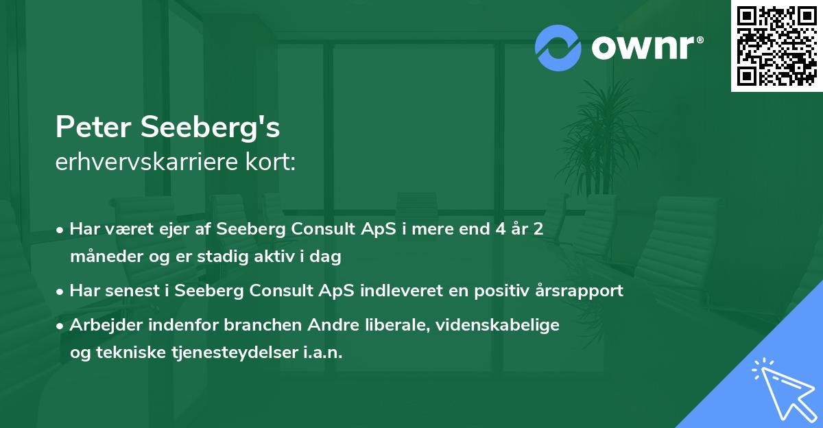 Peter Seeberg's erhvervskarriere kort