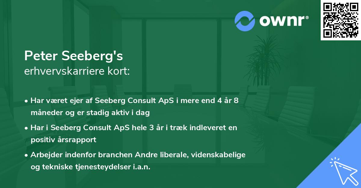 Peter Seeberg's erhvervskarriere kort