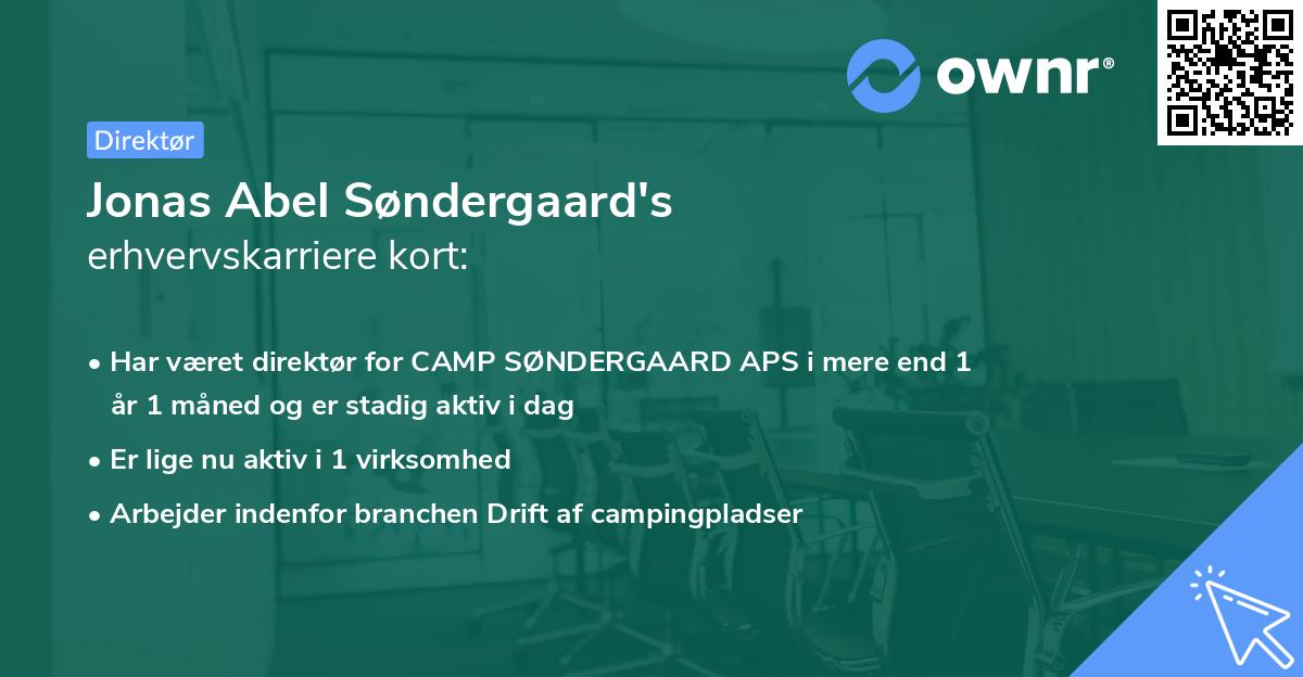 Jonas Abel Søndergaard's erhvervskarriere kort