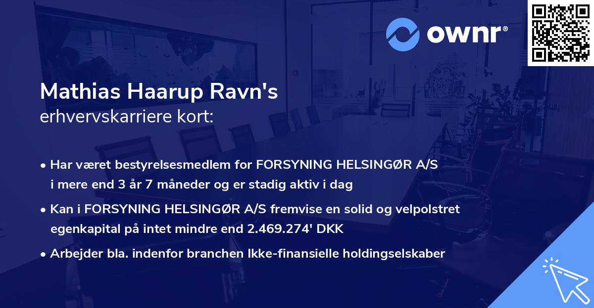 Mathias Haarup Ravn's erhvervskarriere kort