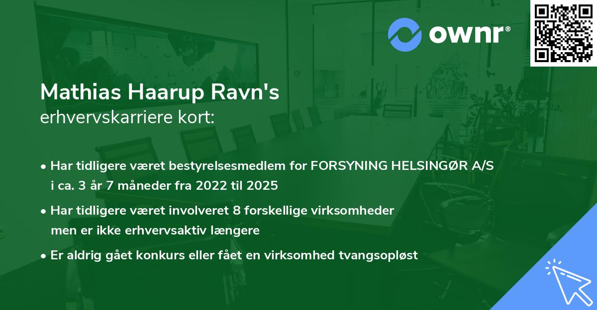 Mathias Haarup Ravn's erhvervskarriere kort