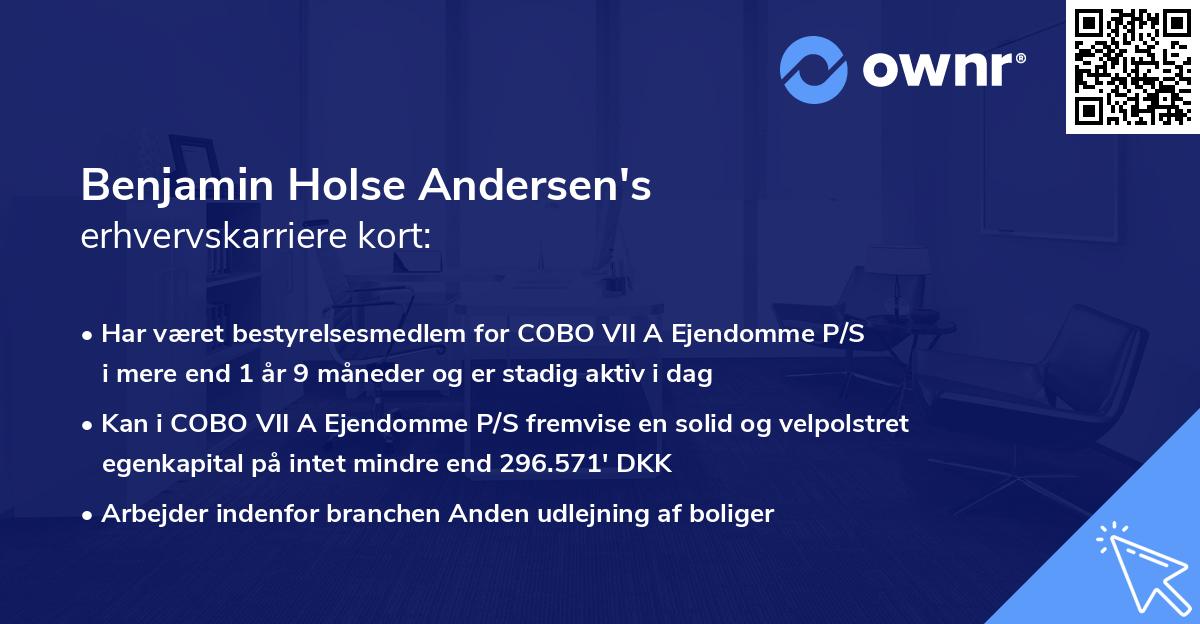 Benjamin Holse Andersen's erhvervskarriere kort