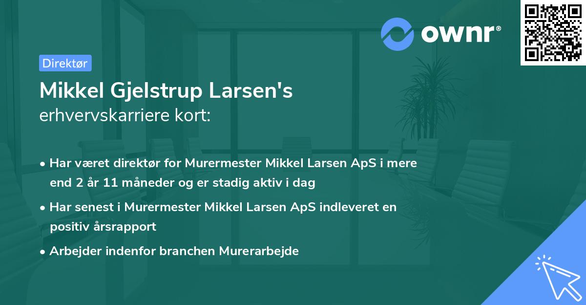 Mikkel Gjelstrup Larsen's erhvervskarriere kort
